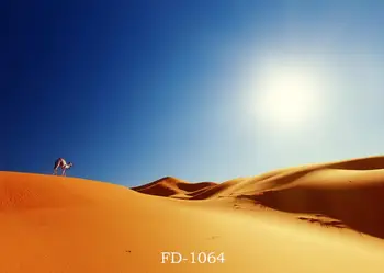 Saulė dykuma temą šalies reklama fone apdailos baby shower vaikų plakato fonas nuotraukos studija rekvizitai sutemų