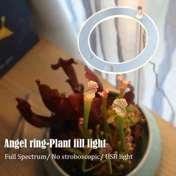 Usb Angelas Žiedas Phytolamp Augalai, Led Lempos Viso Spektro Saulės-Kaip Vidinis Namų Gėlė Auga Šviesos