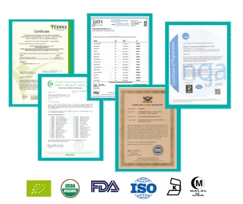 USDA ir EB Sertifikuotų ekologiškų Eyebright Extract10：1 Soros žolė, ekstraktas