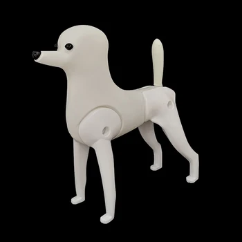 Viliojimo Modelis Šuo Pudelis Įrašą Manekenas Už viliojimo praktikos (Pudelis Šuo manekeno tik)