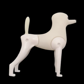 Viliojimo Modelis Šuo Pudelis Įrašą Manekenas Už viliojimo praktikos (Pudelis Šuo manekeno tik)