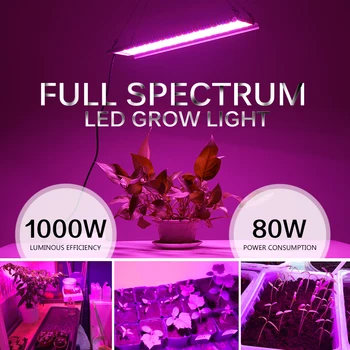 Visą Spektrą Augti Šviesos 1000W Aukštas Šviesos Efektyvumas Mažas Energijos Suvartojimas 220V LED Grow Light.