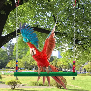 Vištienos Žaislas Vištienos Sūpynės Vištienos Ešeriai Puikiai tinka Vištų Paukštis Papūga Macaw 38 * 2 * 50cm