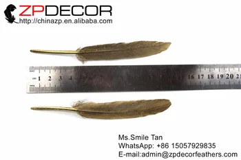 ZPDECOR 10-15cm(4-6inch) 100pieces Kruopščiai Paruošta Aukso Metalo Kamuolio Ančių Plunksnų, 